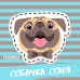 Обложка трека