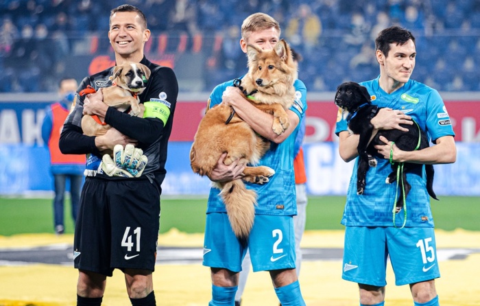 Футболисты «Зенита» и собаки: новая акция в поддержку бездомных животных 