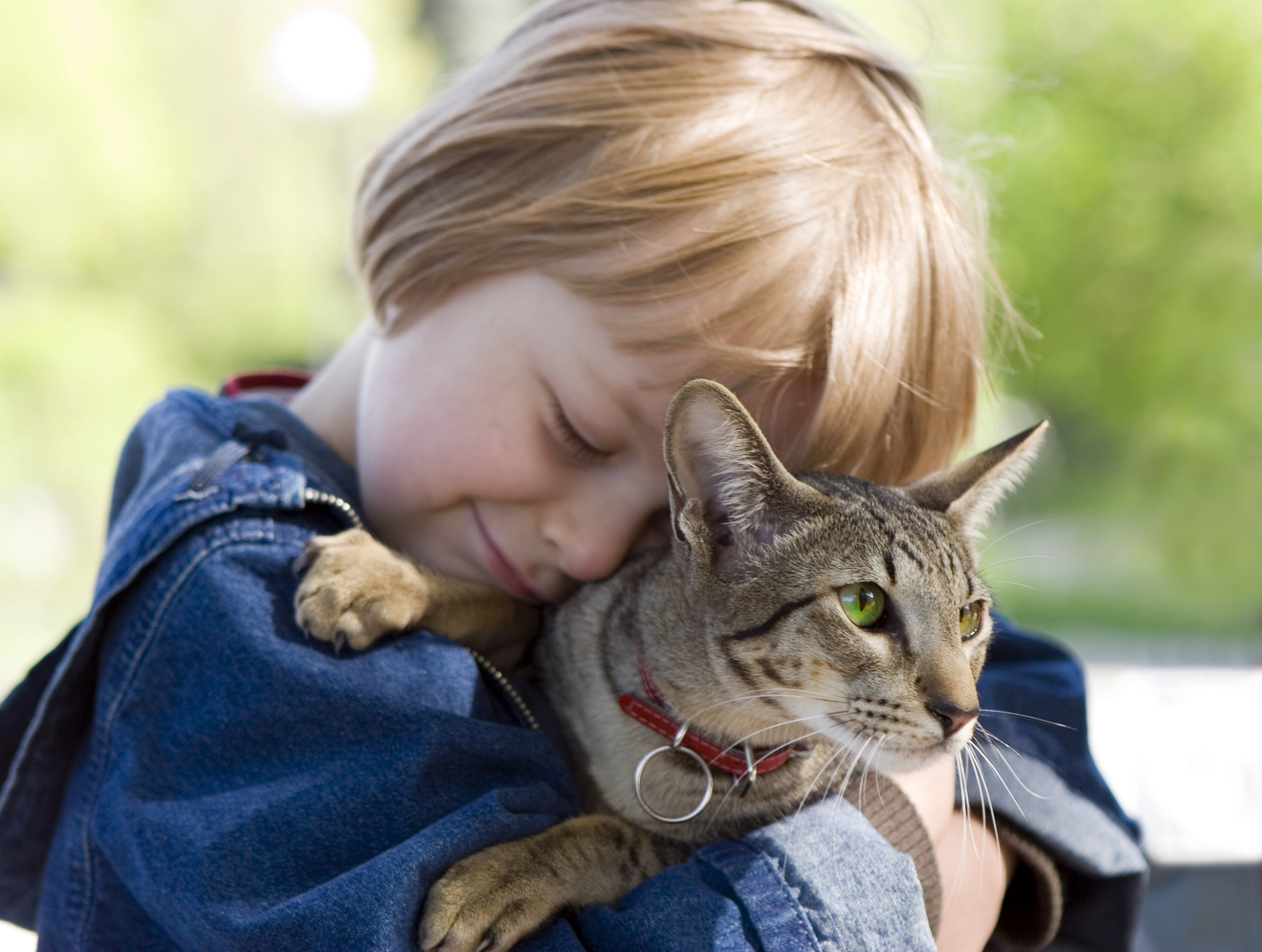 Включи котик люди. Домашние животные для детей. Кошка для детей. Дети с животными. Любовь к животным.
